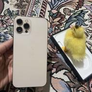 ایفون 12پرومکس