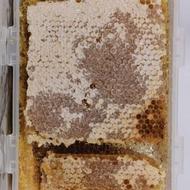 عسل آویشن و گون
