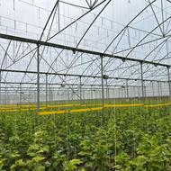 فروش مجموعه گلخانه صنعتی