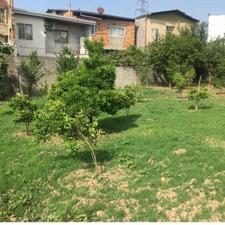 زمین مسکونی 300 متری در اخلاص