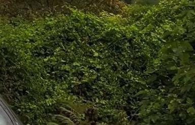 فروش 230 متر زمین مسکونی روستای عطالر‌
