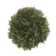 بافنده اسکاچ