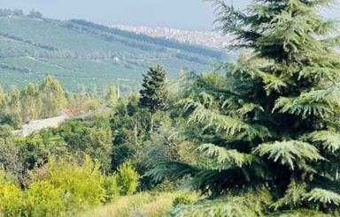 اجاره آپارتمان 135 متر در شهبند کوچه الهیه بازدید آخر 