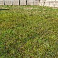 فروش زمین 1000 متری با دسترسی آسان به مرکز رشت