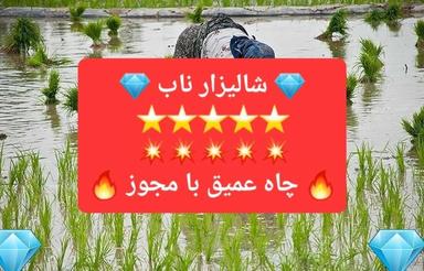 فروش شالیزار 10,000 متری جاده جویبار نوده
