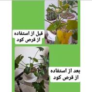 قرص کود محرک.