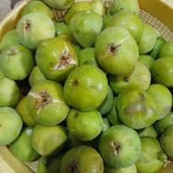 باسلام انجیر سفید شیرین (عسلی وشهددار)