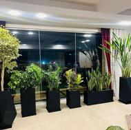 صفرتاصد امور باغبانی
