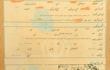 چسب بافت مسکونی سند تک برگ جمکران