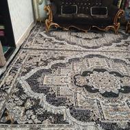 فرش 6متری نو