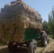 یونجه خالص خشک