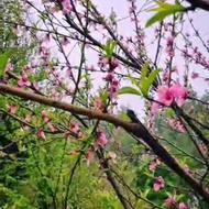 نیاز ب مشاوره