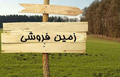 فروش زمین مسکونی 500 متر در بلوار طالقانی