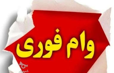 پرداختی فوری بدون چک و ضامن