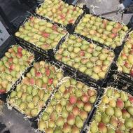 کارگر برای سورتینگ