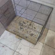 قفس پرنده است