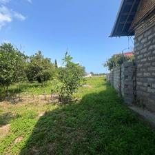 فروش زمین کشاورزی 279 متر در زنگیشاه محله
