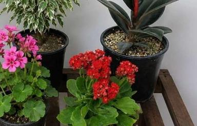 فلکه سنگی به طرف دبیرستان محدثه