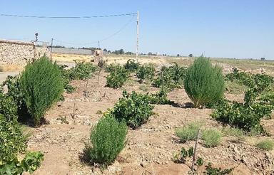 زمین مسکونی فروشی اقساطی بدون پیش پرداخت
