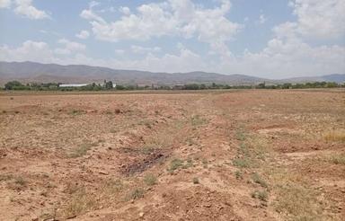 زمین در انتهای کوچه تبسم