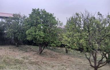 فروش زمین باغی 448 متر در ملک خیل