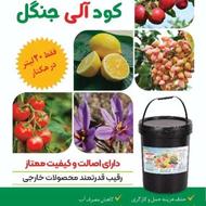 کود آلی جنگل