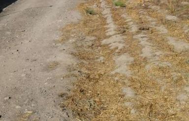 زمین 500 متری شاهنامه 76روستای سیدعلی