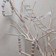 درختچه پرنده
