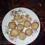 گردویعنصرود
