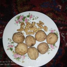 گردوی‌عنصرود