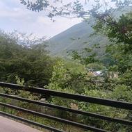 ویلا جنگلی کنار رودخانه دربست