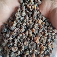 کشمش و گردو و خشکبار