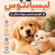 پانسیون گرومینگ نگهداری سگ و گربه