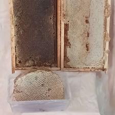عسل کاملا طبیعی درمانی سهند با برگه آزمایش