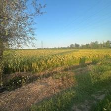 فروش زمین کشاورزی 4000 متر
