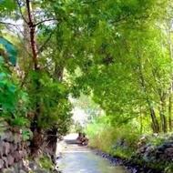 توریکروزه مهیج سریل