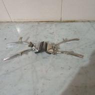 دوتاماشین اصلاح خوب