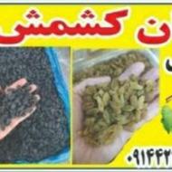 13 تن کشمش . * جواب دهی بالا
