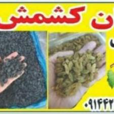 13 تن کشمش . * جواب دهی بالا