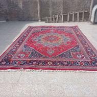 فرش لاکی 12متری