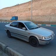 سمند عالی شتاب وحشی