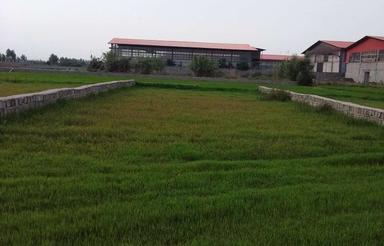زمین در روستای لاله آباد گرمیج