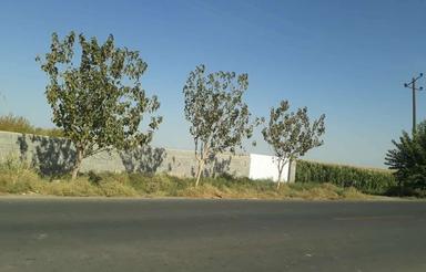 باغچه فروشی