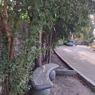 فروش زمین مسکونی 215 متری در 5دقیقه ای ساحل