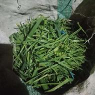 ضایعات سبزی برای دام