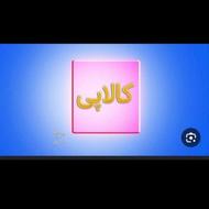 نقد کردن کالا پی
