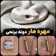 مهره مار دونه برنجی زنده وفعال
