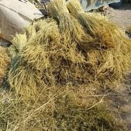 کمل سازه با کمباین دستی، دسته درشت، بسته ایی 400 هزار تومن