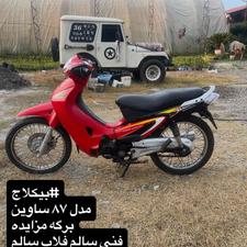 بیکلاج ساوین مدل 87