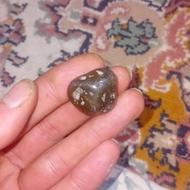 سنگ عقیق جذر صد هزار ساله